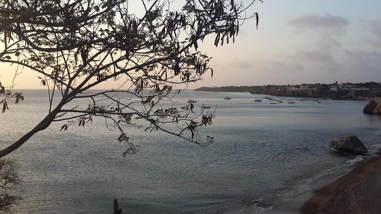 Отель Las Olas Beach House Сабана-Вестпунт 0*, Westpunt